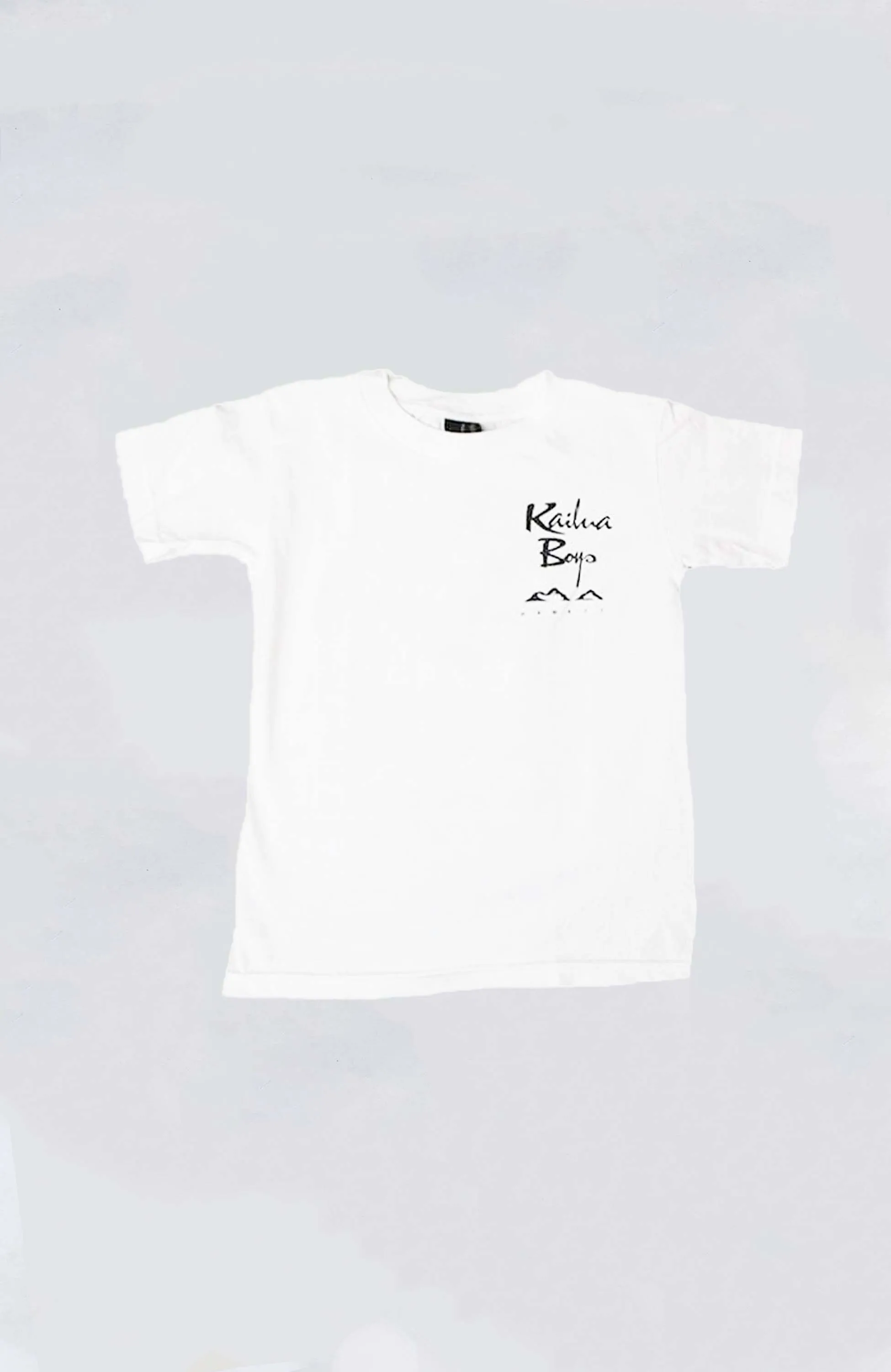 Kailua Boys - KB Pride Squared Heavyweight Tee