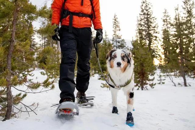 Polar Trex Winter Dog Boots from Ruffwear, 2 Boots