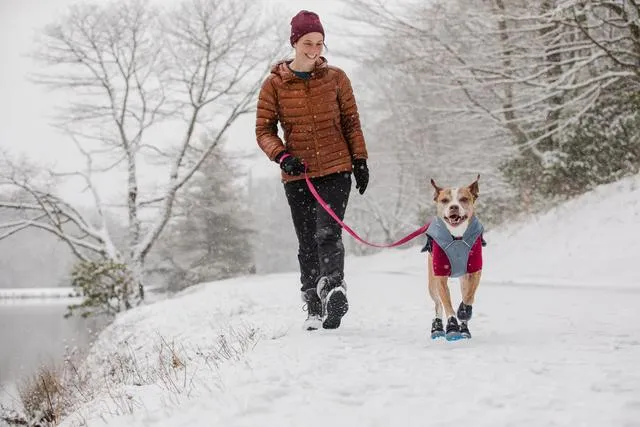 Polar Trex Winter Dog Boots from Ruffwear, 2 Boots